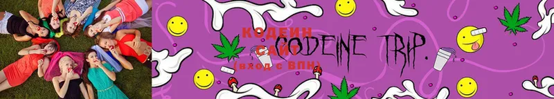 где купить наркоту  Лахденпохья  Кодеин Purple Drank 